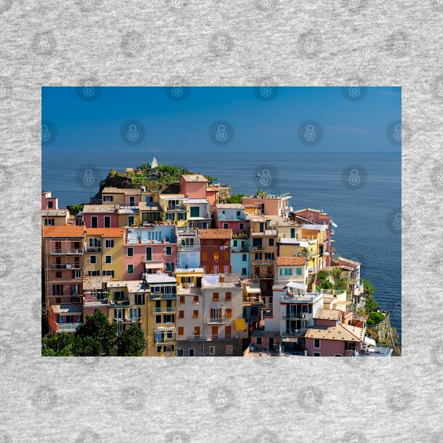 View on the cliff town of Manarola, one of the colorful Cinque Terre on the Italian west coast by Dolfilms